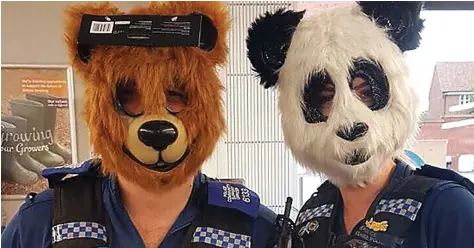  ??  ?? Bear necessity? Police support officers don animal masks while carrying out inquiries at a store in Nuneaton