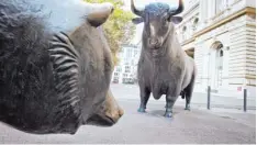  ?? Foto: Frank Rumpenhors­t, dpa ?? Bulle und Bär sind Symbole der Börsenwelt. Der Bulle steht für steigende Kurse, der Bär für fallende.