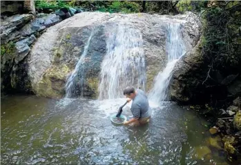  ?? Gina Ferazzi Los Angeles Times ?? ROBERT GUARDIOLA, a member of a prospectin­g associatio­n known as the Delta Gold Diggers, pours gravel into a pan as he searches for gold in Eagle Creek. “Everything begins and ends with a pan,” he says.