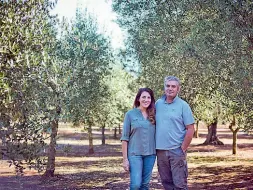  ??  ?? Francesco Barba e Grazia Barba nel loro uliveto: marito e moglie, sono fra gli imprendito­ri agricoli più apprezzati del territorio