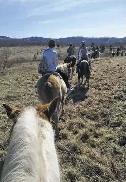  ?? BY JENNIFER THEDE ?? WCDS students on winter break enjoy a beautiful mountainsi­de trail ride in Davis, W.V. LEFT | The 7th grade science fair, including Nicholas Plaksin's project seen here, was open to parents just before last Thursday's windstorm struck the county and...