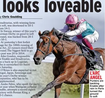  ??  ?? L’ARC ANGEL Punters are backing Enable after rain in Paris turned the ground to soft