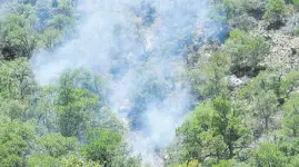  ?? /EL SOL DE HERMOSILLO ?? La temporada de incendios en la entidad se adelantó por la falta de lluvias