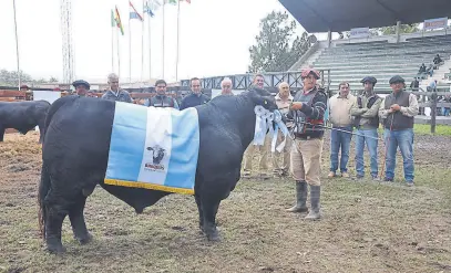  ?? Puken ?? El Gran Campeón Macho de Cabaña Los Orígenes de Agrodec SA; atrás, autoridade­s