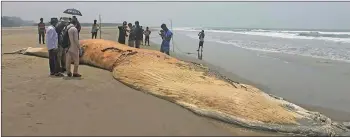  ?? — AFP photo ?? People gather around a dead whale washed ashore on a beach in Cox’s Bazar.