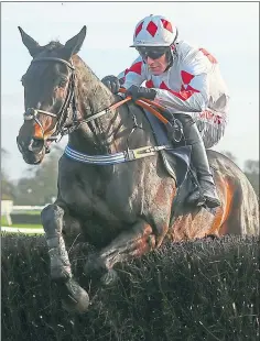  ??  ?? Native Robin ridden by Nick Schofield jumps the last to win at Fontwell yesterday