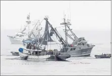  ?? MONTEREY HERALD ARCHIVE ?? Squid boats off of Pacific Grove in 2014.