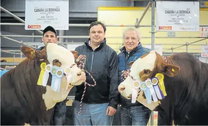  ??  ?? Doblete. La Dominga, de Alejandro Lauret (en el centro) ganó el primero y segundo puesto de la Braford.