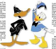  ??  ?? Favourites: Daffy, left, and Donald Duck