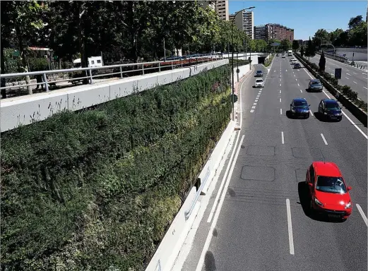  ?? JAVI MARTÍNEZ ?? Uno de los tramos laterales que componen los jardines verticales de la M-30, que se extienden a lo largo de 400 metros lineales.