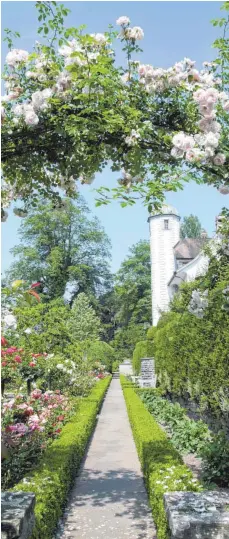  ?? FOTO: BARBARA WALDVOGEL ?? Blick in den Rosengarte­n von Adolf Röösli, Besitzer des Großen Hahnberg im Kanton St. Gallen.