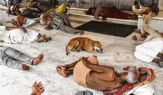  ?? Saumya Khandelwal / New York Times ?? People and a dog find some comfort in the afternoon shade in New Delhi in June. Extreme heat hits poor and already-hot regions like South Asia especially hard.