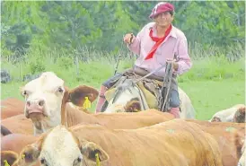  ??  ?? Trabajo. La ganadería demanda mano de obra y aporta carne al mundo.