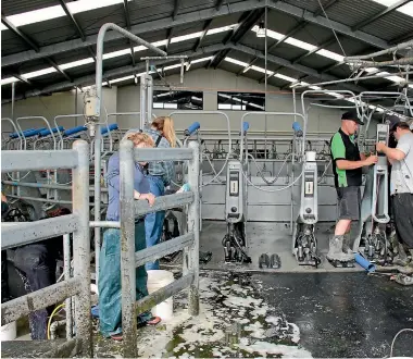  ??  ?? Telford certificat­e in agricultur­e and diploma in rural vet technician students work in the Telford cowshed. Lincoln University Telford Division near Balclutha is one of just two residentia­l providers of vocational training in agricultur­e in New...