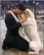  ?? ALYSHA TOWELL VIA AP ?? In the July 2016photo provided by Alysha Towell, sixteen-year-old Cortlund Towel touches his forehead against his dog Merlyn’s head at the Houston World Dog Show in Houston, Texas. The Westminste­r Kennel Club competitio­n is best known for the dog...