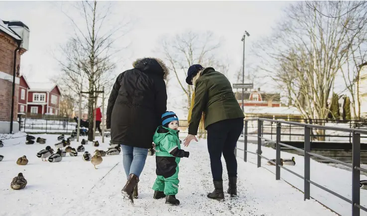  ??  ?? FAMILJEN. Linda Wästerlund hade fått fyra barn när hon donerade sin livmoder till systern Lolita. – Till min yngsta dotter har vi sagt att hon och Cash-Douglas kommer från samma bebispåse, säger hon.