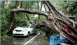  ??  ?? A man looks inside a damaged car after a tree collapsed on it during heavy rain, in Prayagraj, Friday