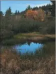  ?? SUBMITTED PHOTO ?? A beaver bog in Vermont makes for a perfect fall walk in the woods.