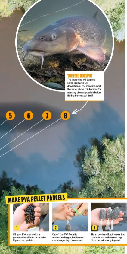  ??  ?? THE FEED HOTSPOT
The loosefeed will come to settle in an area just downstream. The idea is to work the water above this hotspot for as many bites as possible before fishing the hotspot itself.