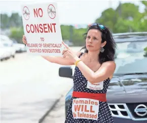  ?? WILFREDO LEE / ASSOCIATED PRESS ?? Mila de Mier of Key West, Fla., stands outside the Florida Mosquito Control District Office in August 2016 as she demonstrat­es against using geneticall­y modified mosquitoes to control the
Aedes aegypti mosquito.