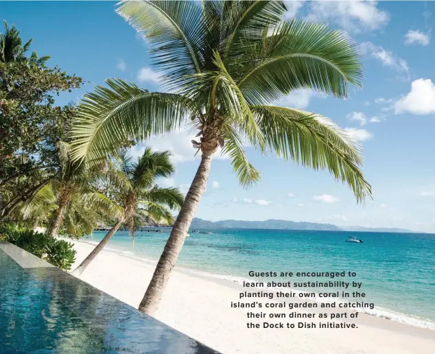  ??  ?? Clockwise from top left: a master bedroom in a beachfront villa; the infinity pool at a beachfront villa; preparing a natural remedy from the island’s farm; tropical fish in the Great Astrolabe Reef. PREVIOUS PAGES Kokomo Private Island.