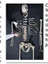  ??  ?? Cheddar Man, at 10,000 years the oldest complete skeleton found in the UK, has been subjected to genetic testing which would have been impossible just 10 years ago
