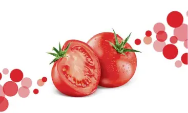  ??  ?? Fruitflow natural water-soluble tomato extract consists of a number of bioactive compounds with antiplatel­et properties which have been clinically tested to improve blood circulatio­n.