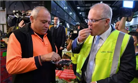 ?? MIck tsIkAs/AAP IMAge VIA AP ?? Australian Prime Minister Scott Morrison (right) eats a blueberry during a visit to markets in Sydney, on Thursday.