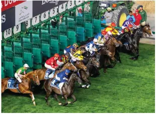  ?? ?? Dubai Sheema Classic contenders at the start of the race at Meydan, which witnessed nine thrilling races on Saturday.