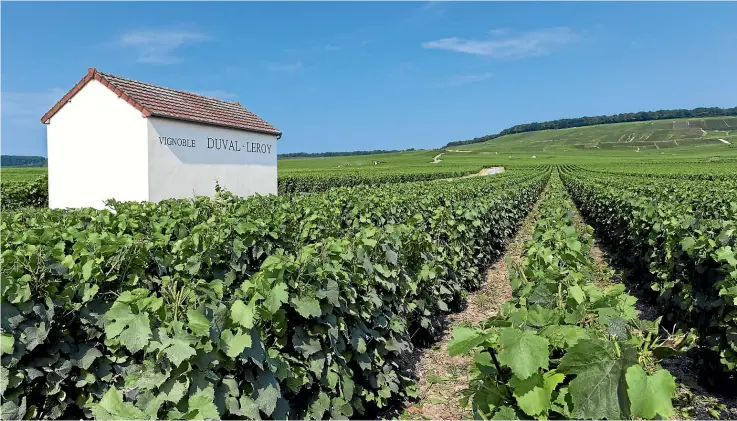  ?? GETTY IMAGES ?? The price of Champagne is all about prestige, with the region’s winemakers making their product in very small quantities.