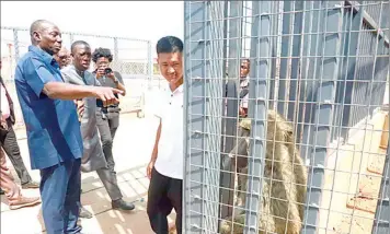  ?? ?? Delta state governor and Vice- Presidenti­al Candidate of PDP, Senator ( Dr) Ifeanyi Okowa ( middle) looks at a Baboon at the Zoo section of Delta Leisure Park and Film Village, Asaba, during inspection of the project last week, with the Project Consultant, Mr. Kester Ifeadi ( left) giving some explanatio­n. With them is one of the project consultant­s, Mr. John Lun( right)