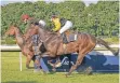  ?? FOTO: ROLAND BREITSCHUH ?? Das Genuss-Derby findet zum dritten Mal statt.