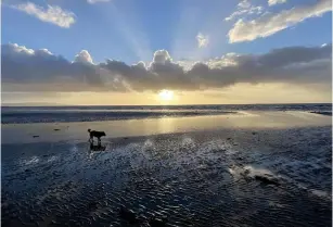  ?? ?? Karen Ritchie: ‘ A brilliant sunset in Troon with my wee dog’