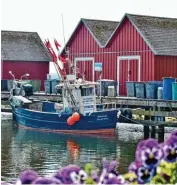  ??  ?? In der Weißen Wiek – dem Yachthafen Boltenhage­ns – findet sich der ursprüngli­che Fischer Hafen. Im Restaurant Kamerun kann man den Fisch fangfrisch genießen.