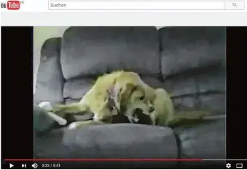  ?? Screenshot: Youtube, kikiollo ?? Es scheint, als würde der Hund in diesem Video seinen Knochen gegen die eigenen Hinterläuf­e verteidige­n. Hinter solchem Ver halten steckt jedoch oft eine psychische Störung des Tieres.