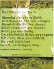  ??  ?? Hölderlin-Gedicht am Ulrichstei­n.