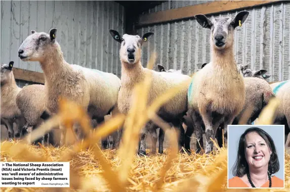  ?? Owen Humphreys / PA ?? > The National Sheep Associatio­n (NSA) said Victoria Prentis (inset) was ‘well aware’ of administra­tive issues being faced by sheep farmers wanting to export