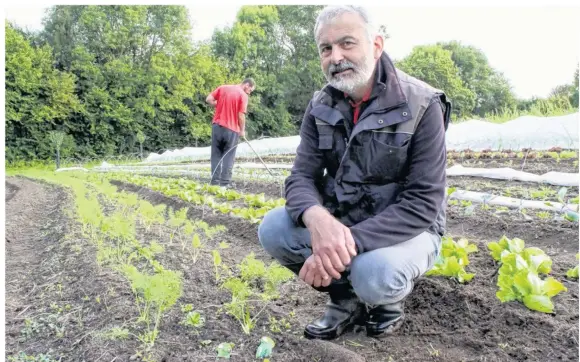  ??  ?? Thierry Hazard, ex-architecte, a eu envie de lancer un projet « avec, dans et pour la nature ».