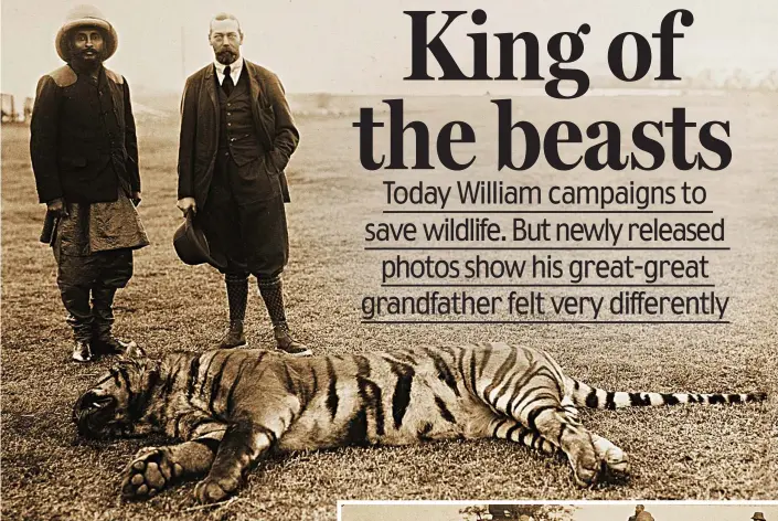  ??  ?? Prize kill: The Maharaja of Nepal and King George stand over a Bengal tiger, one of nearly 60 animals shot dead on the 1911 hunting expedition