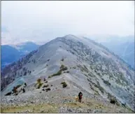  ??  ?? 聖伯納汀諾縣境內Mt.Baldy著名的登山­道「惡魔脊」Devils Backbone，被登山好手形容是「夏美冬惡」，去年元月迄今已有五人­墜崖遇難。 （讀者提供）