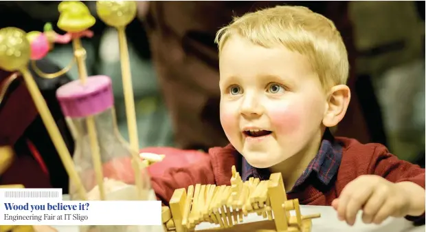  ?? PHOTO: JAMES CONNOLLY ?? Curious mind: Ronan Jinks (2) is enthralled by a mechanical wooden toy, or automata, that bursts into life at the turn of a handle, at the first Engineerin­g Fair at IT Sligo.