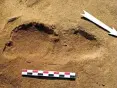  ??  ?? One of the Neandertha­l footprints found in Rozel