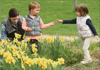  ?? PETER LEE, RECORD STAFF ?? Kristina Vrzic, her son Kristijan, 2, and her friend’s daughter Lena Bogunovic, 3, hunt for snails in the Victorian Gardens in Waterloo Park. A wave of warmth hit the city Wednesday. Today is expected to be warm, too, but the weekend will be cooler —...