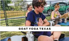  ?? Courtesy Goat Yoga Texas ?? GOAT YOGA TEXAS