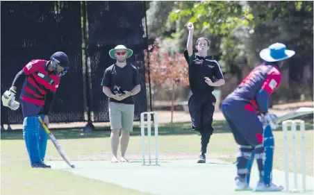  ??  ?? Dallas County bats against Air New Zealand in Victoria’s internatio­nal six-a-side cricket tournament at Beacon Hill Park in 2018. The biennial tourney joins a long list of Island events cancelled or postponed because of the COVID-19 pandemic. Organizers hope to bring it back next year.