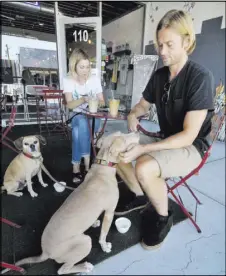  ?? BILL HUGHES/LAS VEGAS REVIEW-JOURNAL ?? Megan Stevenson and Tom Shepherd hang out on the coffee shop’s patio with their dogs Jackson, left, and Beau.