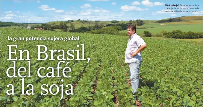  ??  ?? ¡Qué paisaje!. Tavares, en un lote de soja de su “fazenda”, cerca de Londrina, el fin de semana pasado.