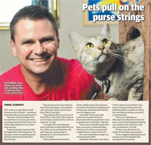  ??  ?? CAT’S MEOW: Jason Hudson has several pets, including, Oska, a 5-year-old ocicat.