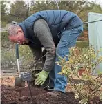  ?? ?? DREAM JOB: Scott, above, at the ready to teach us garden skills, while Beechgrove team members Kirsty, Lizzie and George give advice on houseplant­s, a dream new-build garden and fruit and veg.