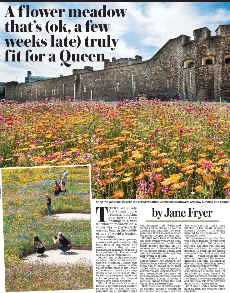  ?? ?? Bring me sunshine: Despite the British weather, 20 million wildflower­s are now bursting into colour